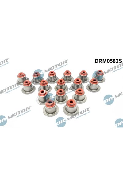 DR.MOTOR AUTOMOTIVE Set Garnituri, Ax Supape Bmw 1/3/5/7/X3 Land Rover Freela...