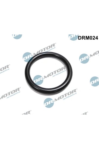 DR.MOTOR AUTOMOTIVE Garnitura, Flansa Lichid Racire Dacia Duster/Logan/Logan ...
