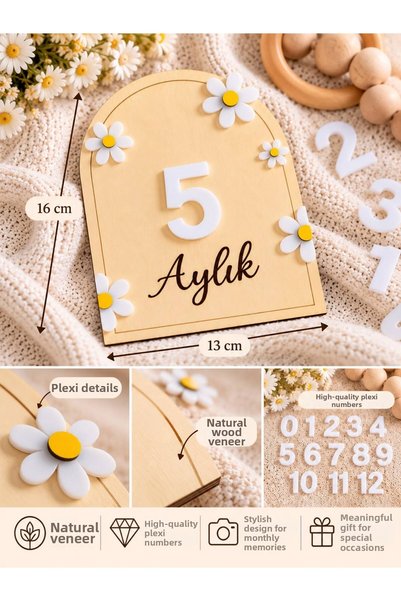 SOLIS DESIGN Baby 12 Month Memory Cards |   Natural Birch Contra and Plexi Numbered Baby Memory Disc