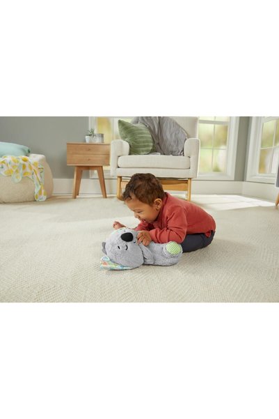 FISHER PRICE Fisher-Price Uyku Arkadaşı Koala
