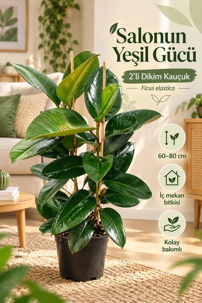 Serada Decor&plant Kauçuk 2 Li - Ev Ofis Çiçeği