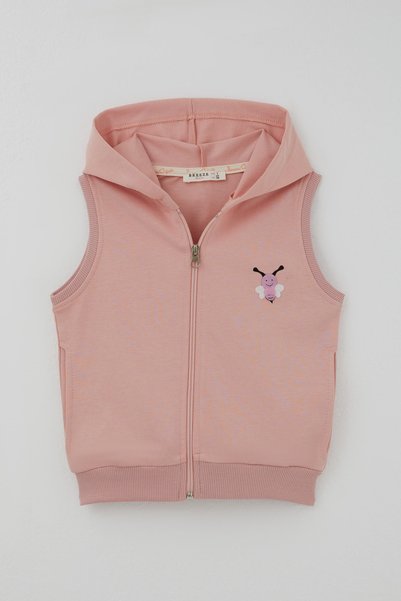 Breeze Girl's Vest with Cute Bee Embroidery and Zipper Hood, Ages 3-8, Dried ...