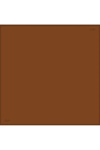 LA BOUTIQUE Labouti̇que Solid Color Sura Silk Scarf Düz116