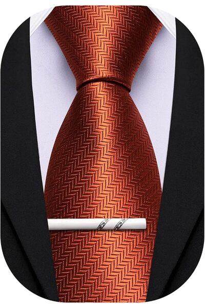 Barry.Wang Silk Men Ties Formal Stripes Necktie and Tie Clip for Wedding Part...