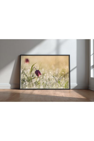 KEYFHOME Morningdew Cadru negru MDF Tablou Poster Living Decor de perete Cadou