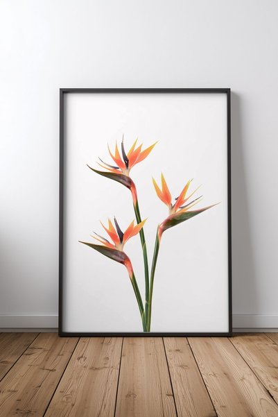KEYFHOME Poster de pictură pe MDF cu rame negre Birds of Paradise, cadou pent...