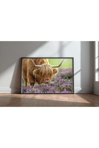 KEYFHOME Highland in Heather Μαύρο Πλαίσιο MDF Πίνακας Αφίσα Σαλόνι Διακόσμησ...