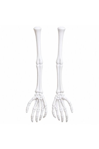 Generic Halloween Skeleton Arm Decorations, White Plastic Bone Hands Hanging ...