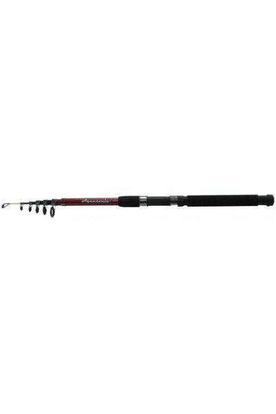 FISHING VARIOUS Καλάμι Ψαρέματος για Casting και Spinning Viper 2.7μ 10-30γρ ...