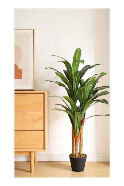 Noon East Dracaena 120 cm (3.94 ft) Artificial Tree with Pot | Floor Plant wi...