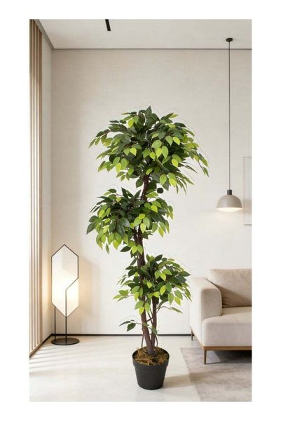 Noon East Ficus 180cm (5.91ft) Tall Artificial Tree in 3 ball branch w
