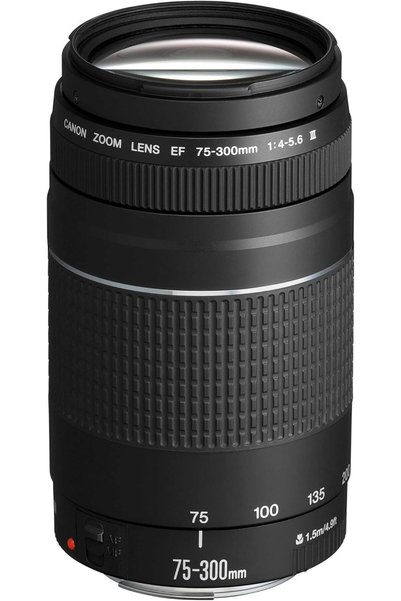 Generic عدسة تيليفوتو EF 75-300mm F4.0-5.6 III لكاميرات EOS (مقبس فلتر 58 مم،...