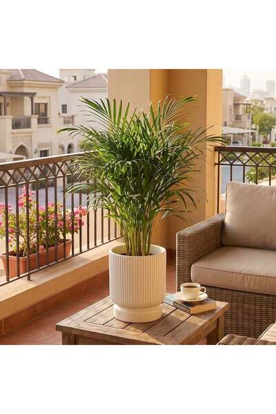 Danube Home Ceramic Pot - 13.5X13.5X14.5 Cream, Elegant Pot, Ceramic