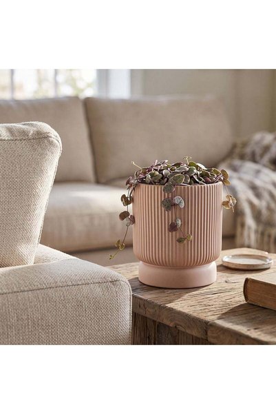 Danube Home Ceramic Pot - 13.5X13.5X14.5 Terracotta, Multi Color, Refi