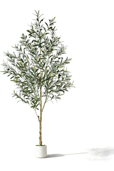 Generic شجرة زيتون اصطناعية (182 سم) - نبات اصطناعي واقعي بجذع خشبي طبيعي وثم...