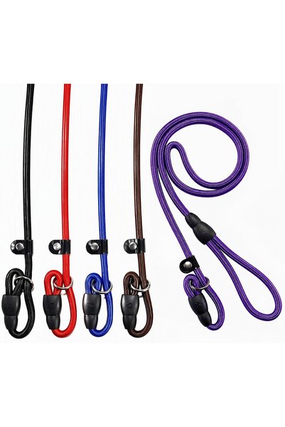 Generic 5pcs Slip Lead Dog Leash,Strong Nylon Rope Leash,Training Leash for L...