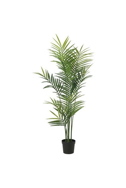 IKEA FEJKA yapay bitki, yeşil, 21 cm, iç/dış mekan Howea Forsteriana