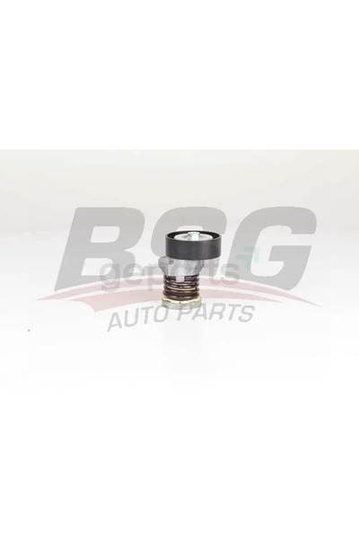 BSG V Kayıs Gergisi Komple T5,5-CRAFTER - Polo - Passat - GOLF6 2010 534 0164 10