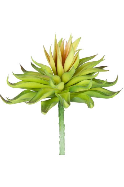 Herdekora Cactus artificial, suculent, aloe vera, roșu-verde, 15 cm.