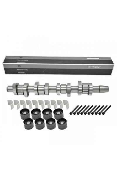 ESEN SKV Set arbore cu came Audi A4 B6 B7 Passat B5.5 038109101AF