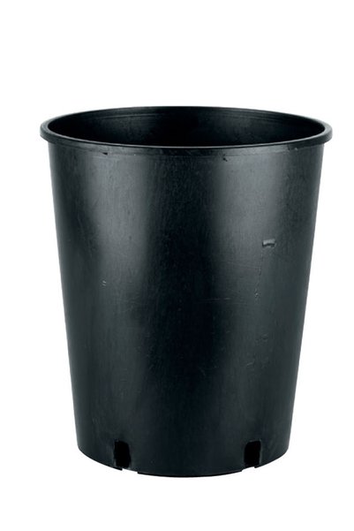 TEMMUZ HOME Lale 2 No İç Kova Saksı 6.4 Litre