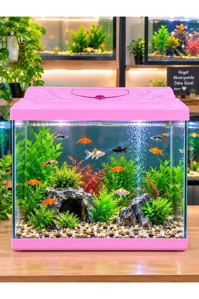 PETSHOP POYRAZ AKVARYUM