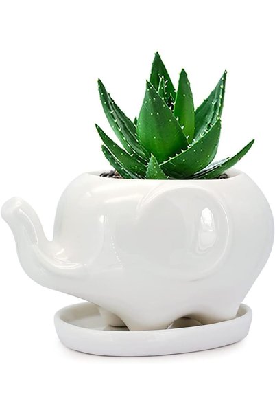Arabest White Elephant Ceramic Succulent Planter, 5 Inch Window Box with Sauc...