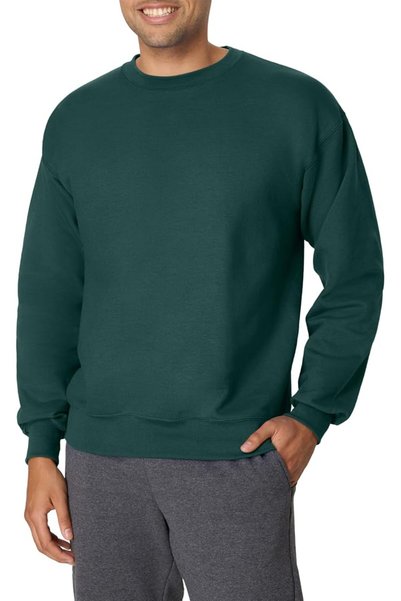 HANES mens Men's Ecosmart Fleece Sweatshirt Hooded Sweatshirt (pack of 1)