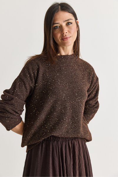 Bianco Lucci Kadın Acı Kahve Payet Detaylı Bisiklet Yaka Oversize Triko Kazak 5543 60286704