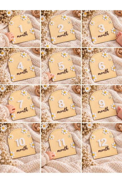 SOLIS DESIGN Baby 12 Month Memory Cards |   Natural Birch Contra and Plexi Numbered Baby Memory Disc