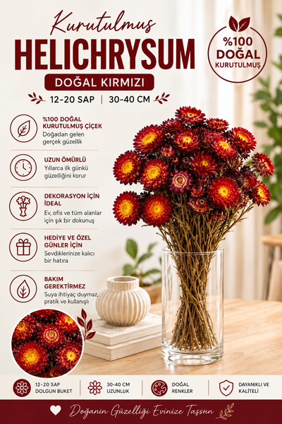 Goya Home Kırmızı Helichrysum Saman Çiçeği Ölmez Çiçek Demeti Dekoratif Kuru ...