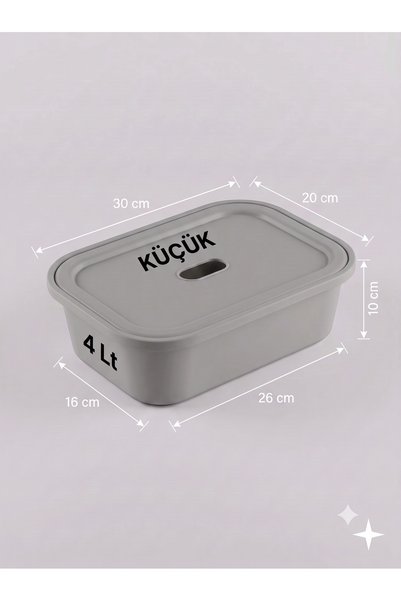 decosense Small Size 4 Liter 30X20X10 cm Polypropylene Plastic Organizer with...