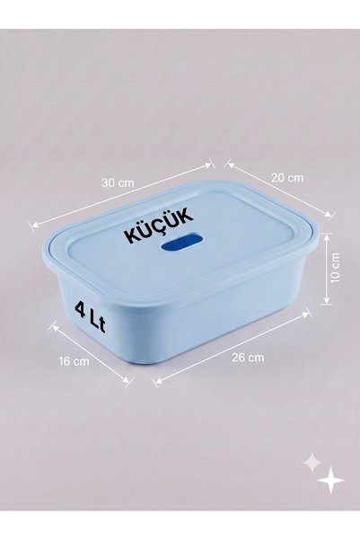decosense Small Size 4 Liter 30X20X10 cm Polypropylene Plastic Organizer with...