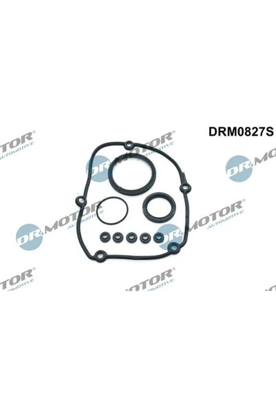DR.MOTOR AUTOMOTIVE Set Garnituri, Carcasa Distributie Audi A3/A4 B8/A5/A6 C7...