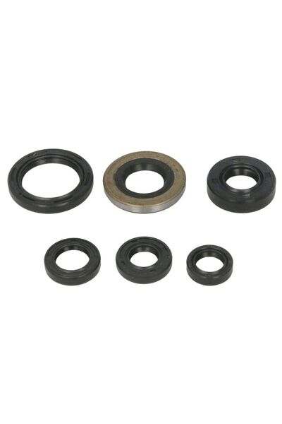 WINDEROSA Set Garnituri pentru Motor HONDA TRX W822278