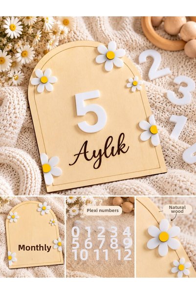 SOLIS DESIGN Baby 12 Month Memory Cards |   Natural Birch Contra and Plexi Numbered Baby Memory Disc