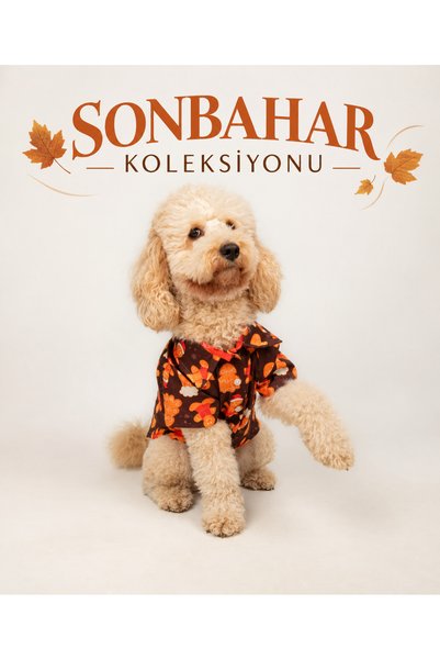 Buf & Buf Dog Cat Outfit Shirt Cotton Fabric for Paw Print Lovers Dog Outfit with Cookie Pattern