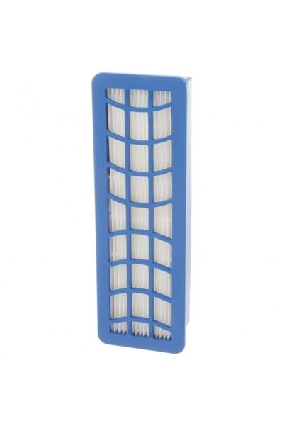 Bosch Filtru HEPA 13 12010474