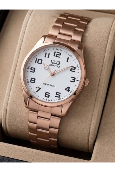 Q&Q Men's Metal Band Wristwatch