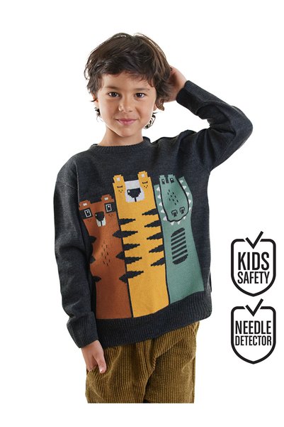 Denokids Πλεκτό πουλόβερ Animals Boy