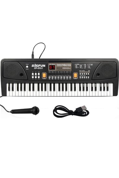 OEM Електронен орган с 61 клавиша, MP3, USB, Микрофон, Клавиатура, 6 демо пес...