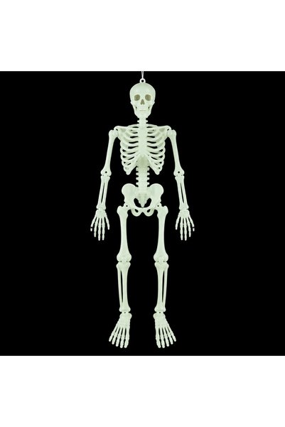 Generic Glow in The Dark Full Body Halloween Skeleton Decoration