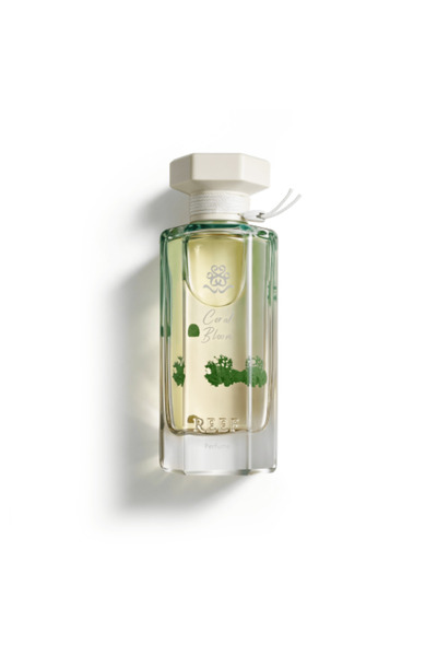 Reef عطر Coral Bloom