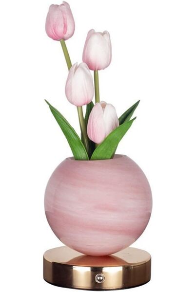 Andgogo Flower Lamp for Bedroom, LED Tulip Table Lamp with 3 Color Changing, ...
