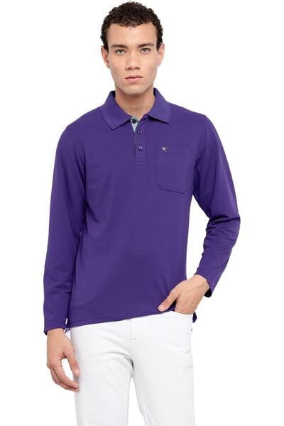 Generic Men's Full Sleeves Regular Fit Polo Collar T-Shirt Cotton Poly Pique ...