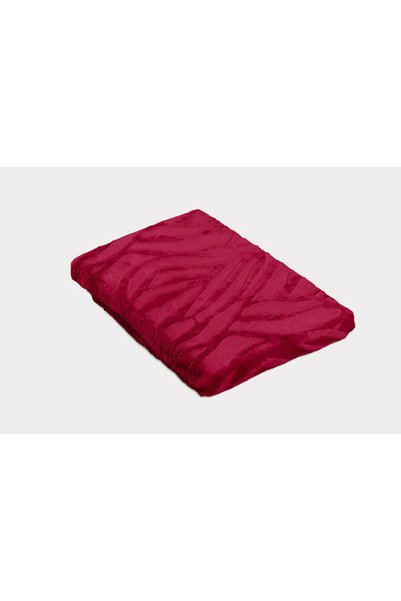 Matex Patura Matex, microfibra 200x220cm, rosu
