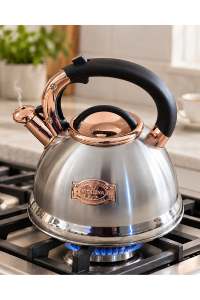 Queen’s Kitchen Paslanmaz Çelik Düdüklü Çaydanlık - Su Isıtıcı 3 Lt Bronz