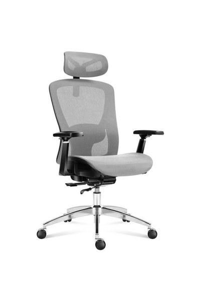 Mark Adler Scaun de birou ergonomic, Expert 5.3, ventilatie cu plasa, spatar ...