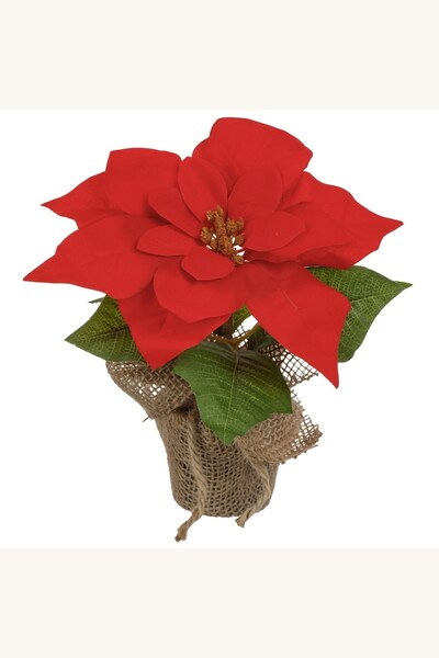 Comerivo Craciunita artificiala in ghiveci iuta, decor festiv 20cm