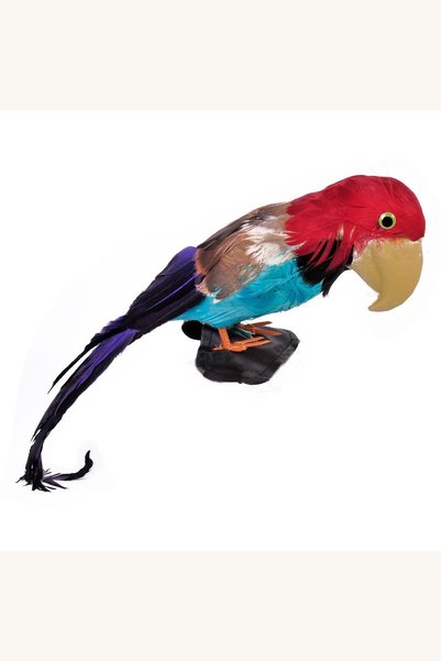 Comerivo Papagal pentru umar costum pirat, accesoriu petrecere 50cm multicolor